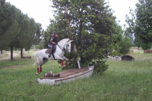 Cross training 